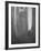 Le corbeau-Odilon Redon-Framed Giclee Print