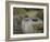 Le Dejeuner, c.1873-Claude Monet-Framed Giclee Print