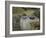 Le Dejeuner, c.1873-Claude Monet-Framed Giclee Print