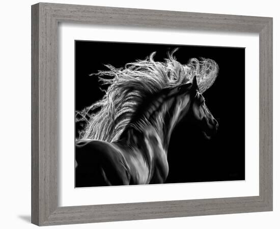 Le Equus-Lord Amihere-Framed Giclee Print