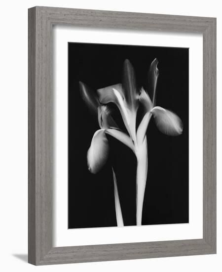 Le Flur BW-Albert Koetsier-Framed Art Print