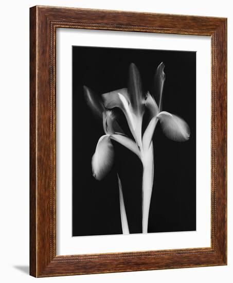 Le Flur BW-Albert Koetsier-Framed Art Print