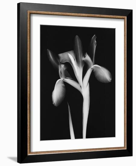 Le Flur BW-Albert Koetsier-Framed Art Print