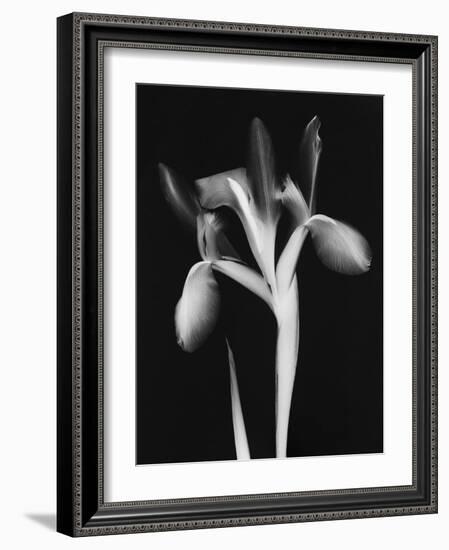 Le Flur BW-Albert Koetsier-Framed Art Print