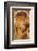 Le Fruit-Alphonse Mucha-Framed Premium Giclee Print