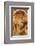 Le Fruit-Alphonse Mucha-Framed Premium Giclee Print