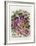 Le Garcon dans les Fleurs-Marc Chagall-Framed Art Print