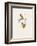 Le Goût du Bonheur 32-Pablo Picasso-Framed Serigraph