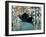 Le Grand Canal, Venise (Venise bleu)-Edouard Manet-Framed Giclee Print