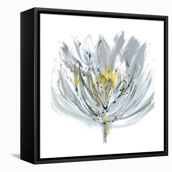 Le Grand Posy-Rebecca Meyers-Framed Stretched Canvas
