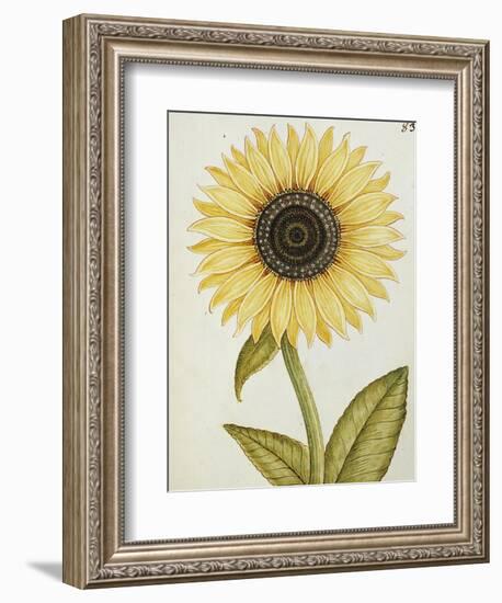 Le Grand Soleil, circa 1700-null-Framed Giclee Print