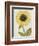 Le Grand Soleil, circa 1700-null-Framed Giclee Print