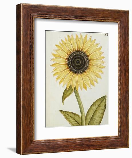 Le Grand Soleil, circa 1700-null-Framed Giclee Print