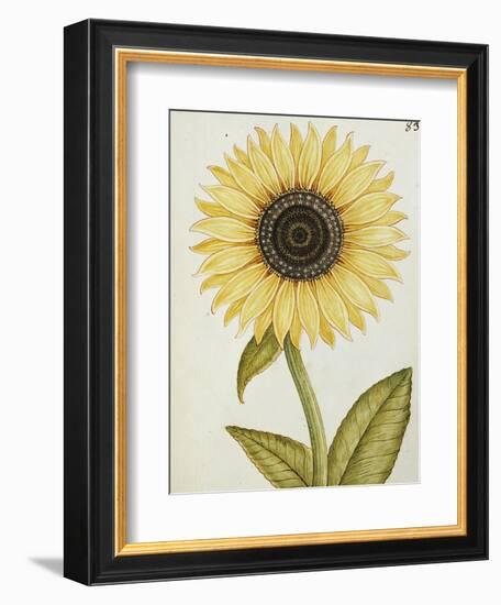 Le Grand Soleil, circa 1700-null-Framed Giclee Print