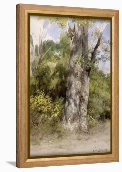 Le Gros chêne-Rosa Bonheur-Framed Premier Image Canvas