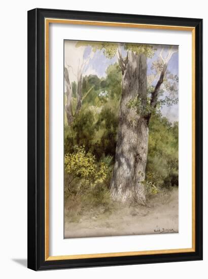 Le Gros chêne-Rosa Bonheur-Framed Giclee Print