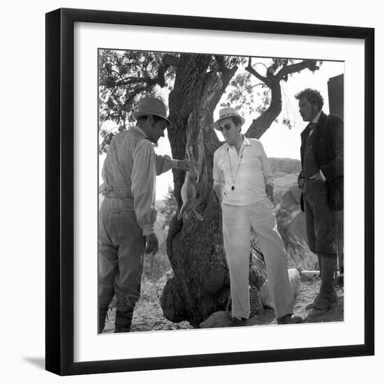 Photo, , large