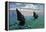 Le Havre - Exit the Fishing Boats from the Port-Claude Monet-Framed Stretched Canvas