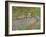 Le jardin a Giverny.-Claude Monet-Framed Giclee Print