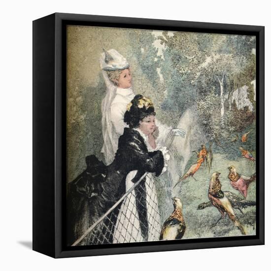 'Le Jardin D'Acclimatation', c1895-Felix Bracquemond-Framed Premier Image Canvas