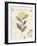 Le Jardin des Fleurs I-Maria Mendez-Framed Giclee Print