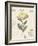 Le Jardin des Fleurs I-Maria Mendez-Framed Giclee Print