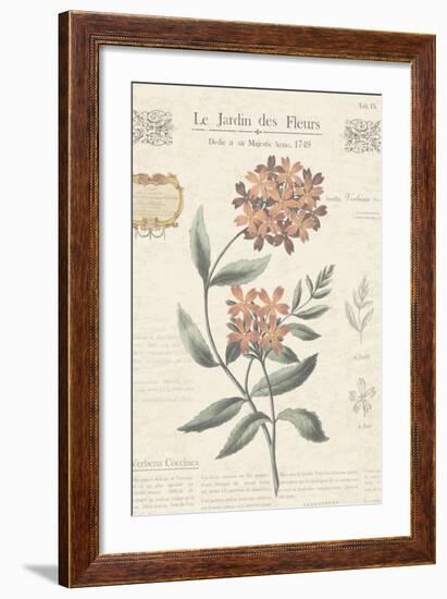 Le Jardin des Fleurs II-Maria Mendez-Framed Art Print