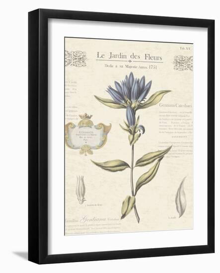 Le Jardin des Fleurs III-Maria Mendez-Framed Giclee Print