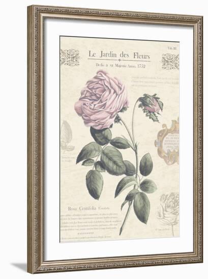 Le Jardin des Fleurs IV-Maria Mendez-Framed Art Print