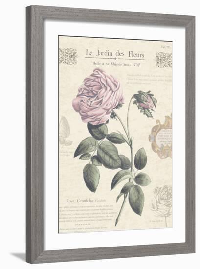 Le Jardin des Fleurs IV-Maria Mendez-Framed Art Print