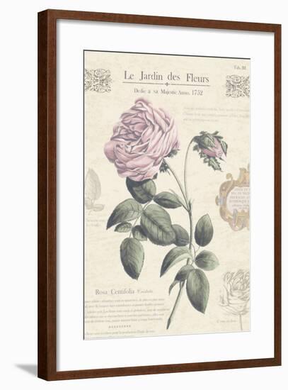 Le Jardin des Fleurs IV-Maria Mendez-Framed Art Print