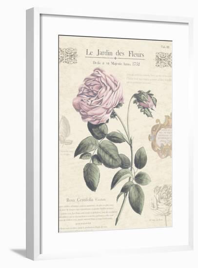 Le Jardin des Fleurs IV-Maria Mendez-Framed Art Print