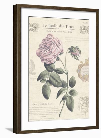 Le Jardin des Fleurs IV-Maria Mendez-Framed Art Print