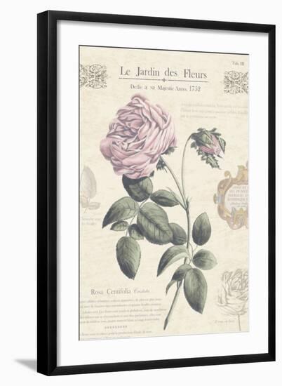 Le Jardin des Fleurs IV-Maria Mendez-Framed Art Print