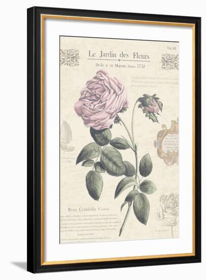 Le Jardin des Fleurs IV-Maria Mendez-Framed Art Print