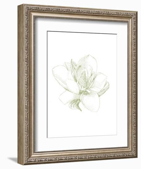 Le Jardin Printemps Pattern I Magnolia-Sue Schlabach-Framed Art Print