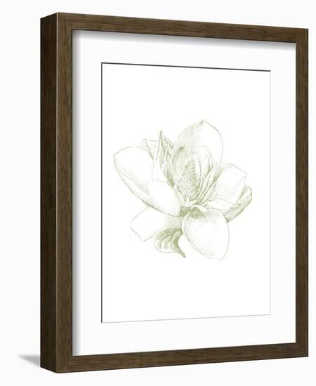 Le Jardin Printemps Pattern I Magnolia-Sue Schlabach-Framed Art Print