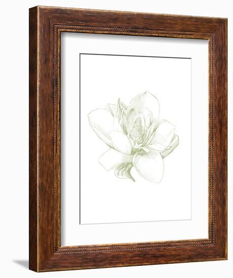 Le Jardin Printemps Pattern I Magnolia-Sue Schlabach-Framed Art Print