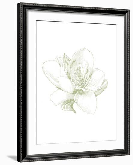 Le Jardin Printemps Pattern I Magnolia-Sue Schlabach-Framed Art Print