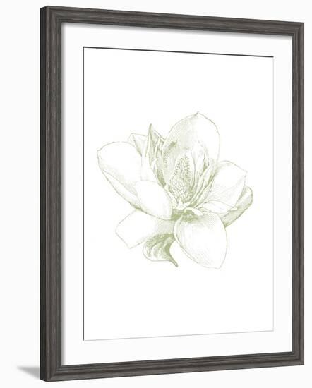 Le Jardin Printemps Pattern I Magnolia-Sue Schlabach-Framed Art Print