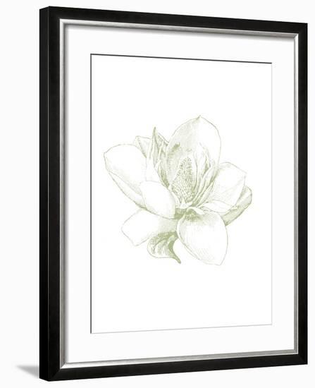 Le Jardin Printemps Pattern I Magnolia-Sue Schlabach-Framed Art Print