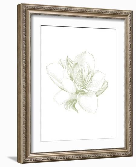 Le Jardin Printemps Pattern I Magnolia-Sue Schlabach-Framed Art Print