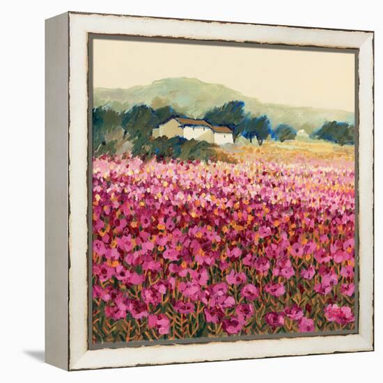 Le Jardin Rouge, Provence-Hazel Barker-Framed Stretched Canvas