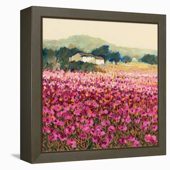 Le Jardin Rouge, Provence-Hazel Barker-Framed Stretched Canvas