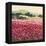 Le Jardin Rouge, Provence-Hazel Barker-Framed Stretched Canvas