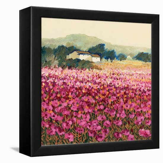 Le Jardin Rouge, Provence-Hazel Barker-Framed Stretched Canvas