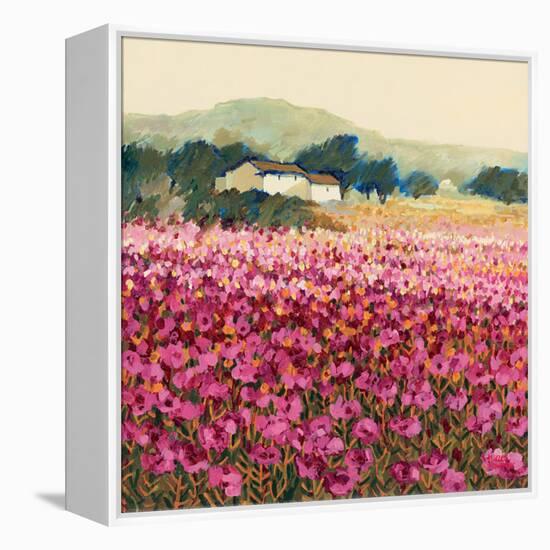 Le Jardin Rouge, Provence-Hazel Barker-Framed Stretched Canvas