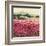 Le Jardin Rouge, Provence-Hazel Barker-Framed Art Print