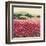 Le Jardin Rouge, Provence-Hazel Barker-Framed Art Print