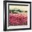 Le Jardin Rouge, Provence-Hazel Barker-Framed Art Print